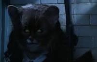 Dans Harry potter et la chambre des secrets, alors qu'Hermione prépare le polynectar, quels cheveux Hermione devaient prendre alors qu'au lieu de cela elle s'est transformée en chat ?