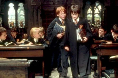 En quoi le professeur MacGonagall dit Harry et Ron de se transformer pour arriver à l'heure en classe ?