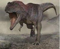 What is the name of this dinosaur?