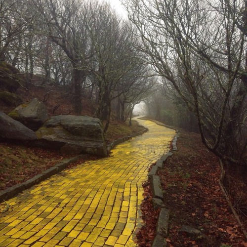 Où peut-on voir cette route de briques jaunes ?