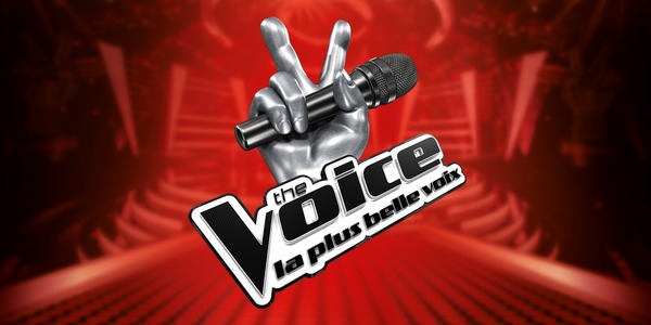 En quelle année The Voice : La Plus Belle Voix est diffusée sur TF1 ?