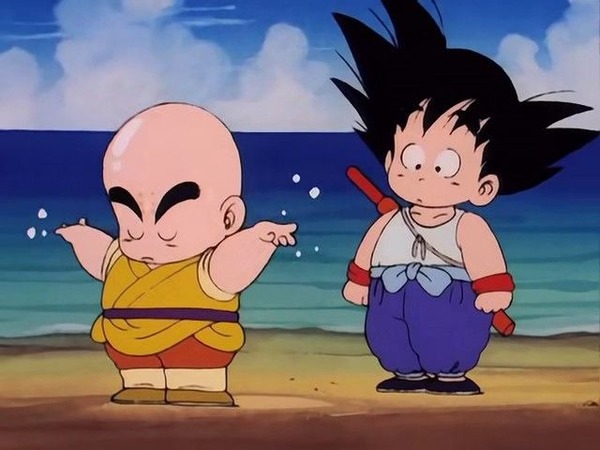 Qui a entrainé Krilin à ses débuts, en compagnie de Goku ?