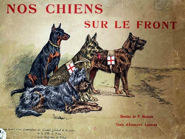 Combien de chiens ont participé à la première guerre mondiale ?
