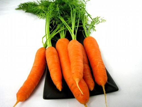 On mange  les carottes en...