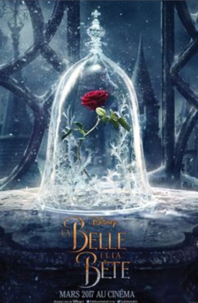 Vrai ou Faux,la fleur dans le film La belle et la bête que l’on voit se faner vers la fin du film est une rose ?