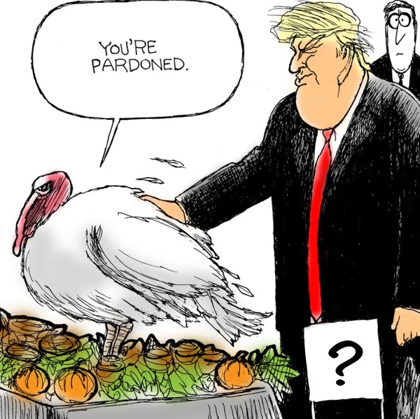 What's the name of the cerenomy wher the president pardons two turkeys ?