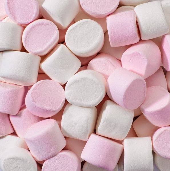 Les marshmallows sont ..........
