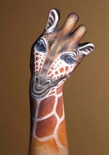 Quant à la girafe,  elle a ... cervicales !