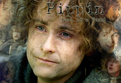 Qui est Pippin ?