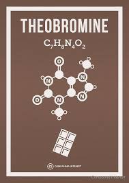 La "Théobromine", alcaloïde présent dans le chocolat noir permet :