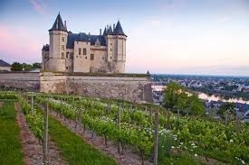 Combien y a-t-il d’appellations du vignoble d’Anjou et de Saumur