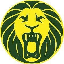 Le nom de l'équipe nationale de football du Cameroun est "Les lions ..."