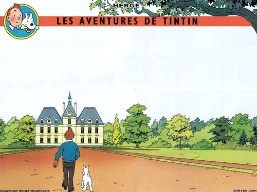 Le château de Tintin ?
