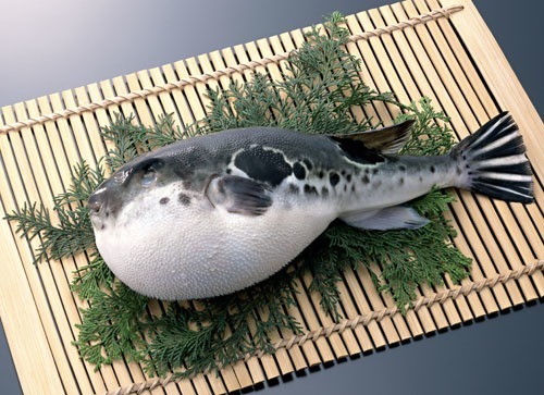 Si le chef qui vous prépare un plat de fugu est un peu malhabile, vous risquez...