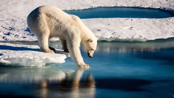 Quelle est désormais la superficie de la banquise arctique ?