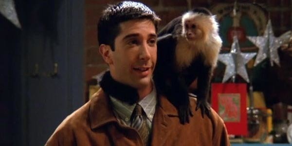 Nom du singe de Ross dans Friends ?