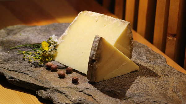 Quel fromage n’appartient pas à la famille des pâtes molles à croûte lavée ?