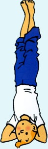 Dans quel album voit-on Tintin faire du yoga ?