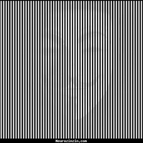 Que voyez-vous ?