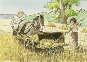 Pour moissonner les blés, il arrivait aux Gaulois d'utiliser...