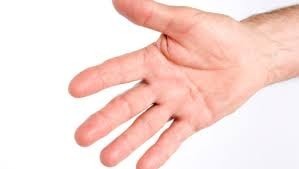 Une main contient combien de doigts ?