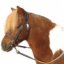 Comment s'appelle ce qu'on met sur la tête d'un poney pour le monter ?