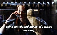 Comment s'appelle le perroquet que Jessica donne à Hanna ?