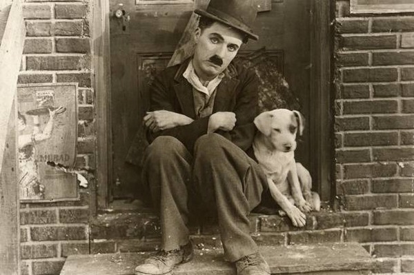Dans quel film de 1918, Chaplin partage-t-il la vedette avec un chien ?