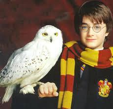 Où, Harry a-t-il trouvé le nom de Hedwige ?