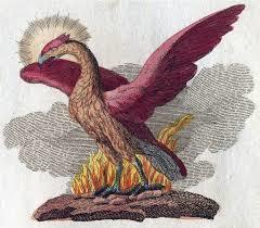 Quel oiseau, symbole de la résurrection, renaît sans cesse de ses cendres ?