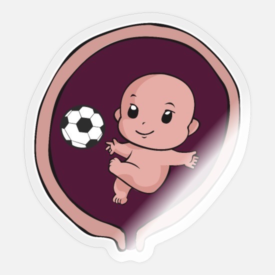 Question Bonus : Qui est ce futur Champion du Monde qui voit le jour le 20 décembre 1998 ?