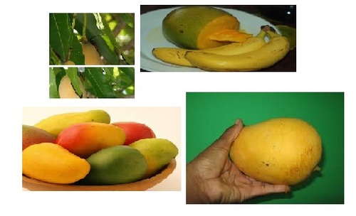 Translate this fruit ?