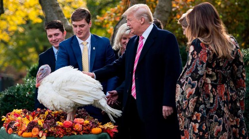 During the turkey presentation the president of the United States...