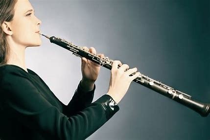 Cet instrument est une clarinette