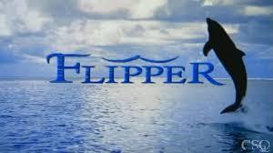 Quel animal nommé Flipper a donné son nom dans une série télévisée rediffusée en 1975 ?