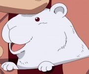 Comment s'appelle la souris d'Iceburg ?