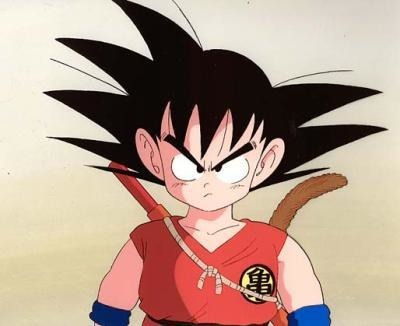 Qui a été le premier adversaire de Goku ?