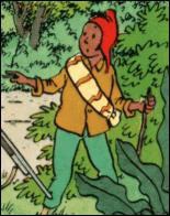 Dans l'album de Tintin intitulé 'Le temple du soleil', comment s'appelle ce garçon qui vendait des oranges ?