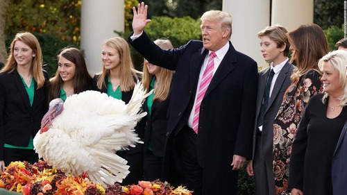 When is the ceremony for pardonned turkey ?