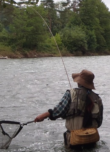 Les cannes à anneaux extérieurs utilisées pour la pêche au toc ont souvent une action :