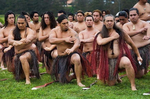 Quel pourcentage de la population néo-zélandaise représentent les maoris ?