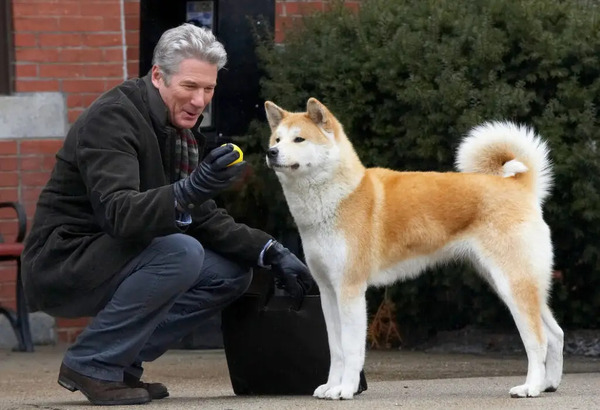 Le moment où Hatchi rapporte sa balle est donc un moment crucial du film. Pourquoi ne l'avait-il jamais rapportée avant ?