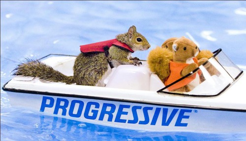 Combien y a-t-il de vrais écureuils faisant du bateau à moteur ?