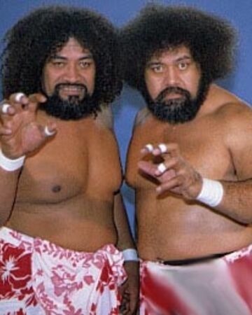 The Wild Samoans, étaient des catcheurs des Samoa, quel est leur lien de parenté exact ?