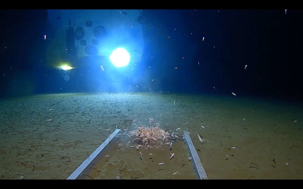 Quel est la fosse océanique la plus profonde au monde, actuellement ?