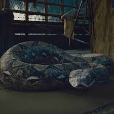 Qui a tué ce serpent dans "Les reliques de la mort" partie 2 ?