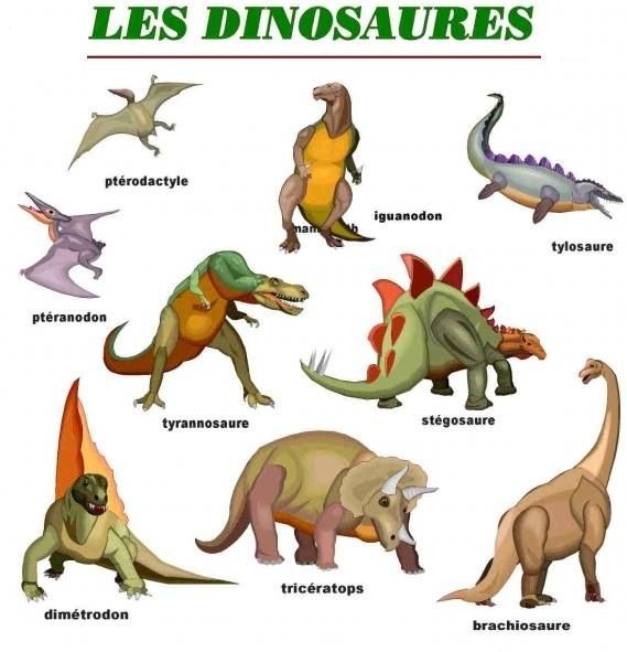 Combien existe-t-il d’espèces connues de dinosaures ?