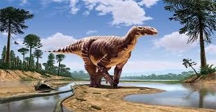 Quel dinosaure a son nom qui signifie « dent d’iguane » ?