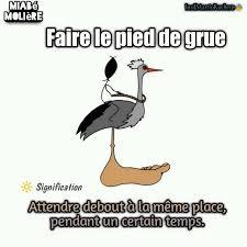 Dernièrement j'ai été voir des amis, après avoir longuement attendu et frappé la porte à de longues reprises, j'ai dû me rendre à l'évidence, ...