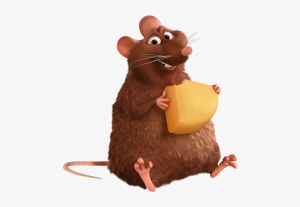 Quel est le nom complet de ce film dans lequel Rémy n'est pas un jeune rat comme les autres ?
